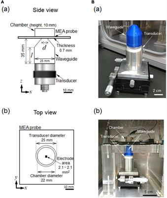 A Multielectrode Array-Based Recording System for Analyzing Ultrasound-Driven Neural Responses in Brain Slices in vitro